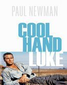 Cool Hand Luke (1967) poster