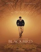 Blackbird (2014) Free Download
