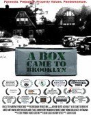 A Box Came to Brooklyn (2015) poster