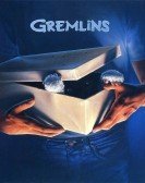 Gremlins (1984) Free Download