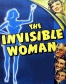 The Invisible Woman (1940) Free Download