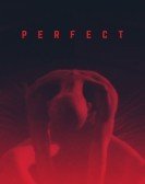 Perfect (2019) Free Download