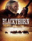 Blackthorn (2011) poster