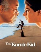 The Karate Kid (1984) Free Download