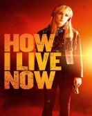 How I Live Now (2013) poster