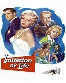 Imitation of Life (1959) Free Download