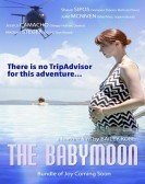 The Babymoon (2017) Free Download