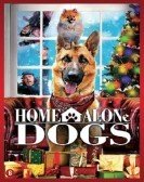 Home Alone Dogs (2013) poster