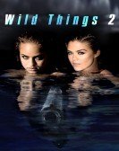 Wild Things 2 (2004) poster