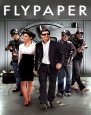 Flypaper (2011) Free Download
