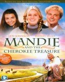 Mandie and the Cherokee Treasure (2010) poster