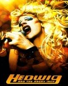 Hedwig and the Angry Inch (2001) poster