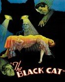 The Black Cat (1934) Free Download