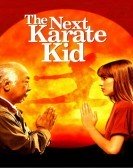 The Next Karate Kid (1994) poster