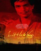 Little Ashes (2008) poster