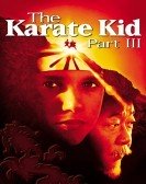 The Karate Kid, Part III (1989) Free Download