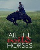 All the Wild Horses (2017) poster