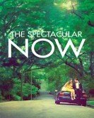 The Spectacular Now (2013) Free Download