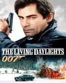 The Living Daylights (1987) poster
