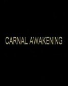 Carnal Awakenings (2013) poster