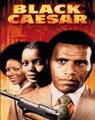 Black Caesar (1973) poster