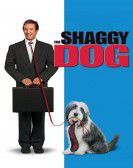 The Shaggy Dog Free Download
