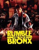 Rumble in the Bronx (1995) Free Download