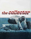 The Collector (1965) Free Download