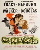 The Sea of Grass (1947) Free Download