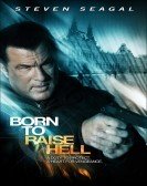 Born to Raise Hell poster