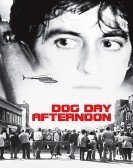 Dog Day Afternoon (1975) Free Download
