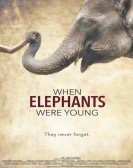 When Elephants Were Young (2016) poster