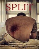 Split (2014) Free Download