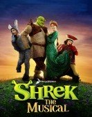 Shrek the Musical (2013) poster