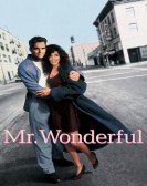 Mr. Wonderful (1993) Free Download