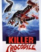Killer Crocodile (1989) poster