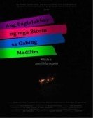 Ang Paglalakbay ng mga Bituin sa Gabing Madilim (2012) poster