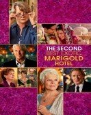 The Second Best Exotic Marigold Hotel (2015) Free Download