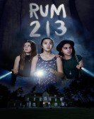 Rum 213 (2017) poster