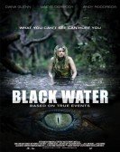 Blackwater (2007) poster