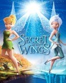 Secret of the Wings (2012) poster