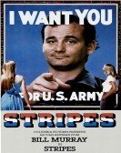 Stripes (1981) Free Download