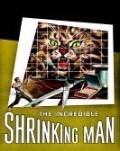 The Incredible Shrinking Man (1957) poster