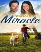Marshall's Miracle (2015) poster