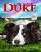 Duke (2012) Free Download