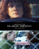 Catching the Black Widow (2017) Free Download