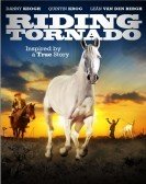 Tornado and the Kalahari Horse Whisperer (2009) poster