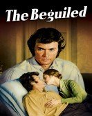 The Beguiled (1971) Free Download