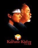 The Karate Kid, Part II Free Download
