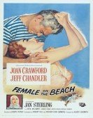 Female on the Beach (1955) Free Download